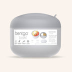 Bentgo Bowl (2-Pack)
